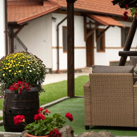 Magda Garden Hotel Cartisoara Luaran gambar
