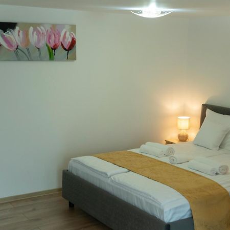 Magda Garden Hotel Cartisoara Luaran gambar