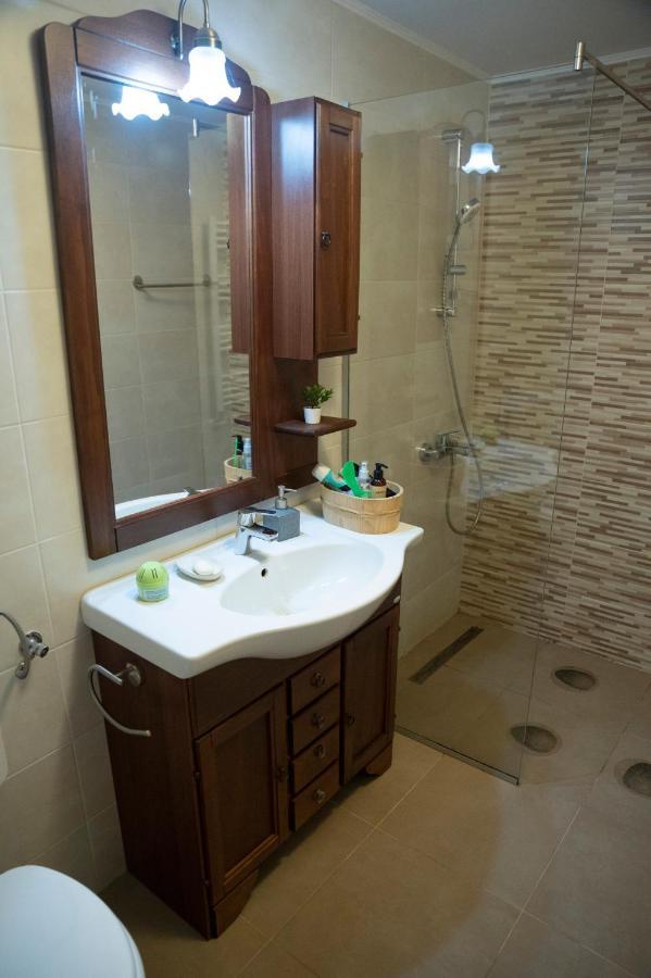Magda Garden Hotel Cartisoara Luaran gambar
