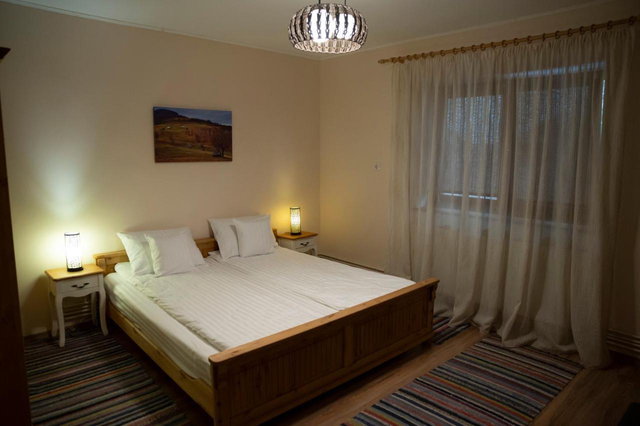 Magda Garden Hotel Cartisoara Luaran gambar